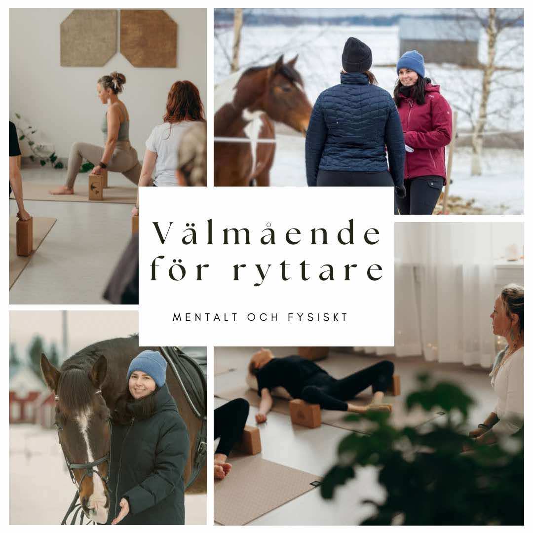 Valmaende Ryttare Inner Wellness